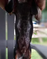 processed/b4bef6e8-dce8-4b0f-b94c-bada2393b51f/listing/0ccba5dd-a08c-411e-859b-2c98ff4e72a8/49ce8a38-ea00-45d1-ab07-81ed0b5dbd47