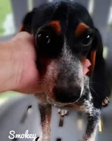 processed/b4bef6e8-dce8-4b0f-b94c-bada2393b51f/listing/0ccba5dd-a08c-411e-859b-2c98ff4e72a8/90bb0763-cf5c-47ea-a6fa-ea41b7d398f7