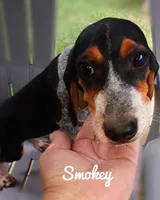 processed/b4bef6e8-dce8-4b0f-b94c-bada2393b51f/listing/0ccba5dd-a08c-411e-859b-2c98ff4e72a8/ac2cb2e4-3b46-4246-956c-26ca54cb94ad