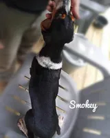 processed/b4bef6e8-dce8-4b0f-b94c-bada2393b51f/listing/0ccba5dd-a08c-411e-859b-2c98ff4e72a8/cf822cb3-3270-47e6-8aa0-9807407978e9