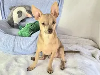 processed/b4c0d5d6-56d1-4555-87c4-b366983c5e53/listing/37a95082-4aa4-4e94-bb3c-0b2bc2635314/5b024036-3bd6-43a8-be87-74fe0fde299b