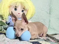 processed/b4c0d5d6-56d1-4555-87c4-b366983c5e53/listing/37a95082-4aa4-4e94-bb3c-0b2bc2635314/b2d98499-d372-4dfc-bae0-cf8cbb0598bc