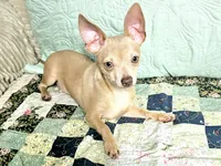 processed/b4c0d5d6-56d1-4555-87c4-b366983c5e53/listing/37a95082-4aa4-4e94-bb3c-0b2bc2635314/d57f0e7e-5505-473d-b96e-db5bd65a0e20