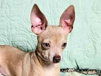 processed/b4c0d5d6-56d1-4555-87c4-b366983c5e53/listing/37a95082-4aa4-4e94-bb3c-0b2bc2635314/e549bb3e-e8d2-43b0-afb6-8bbaaa2f4bb9