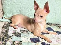 processed/b4c0d5d6-56d1-4555-87c4-b366983c5e53/listing/37a95082-4aa4-4e94-bb3c-0b2bc2635314/f4a68e13-832b-4523-9160-fe41d56a40a2