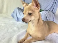 processed/b4c0d5d6-56d1-4555-87c4-b366983c5e53/listing/37a95082-4aa4-4e94-bb3c-0b2bc2635314/f50d0c04-8568-4f2b-9b02-63897d532fc9