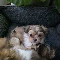 processed/b4c32ecc-42ec-4785-a51c-8fc595477cdc/listing/5e5728d0-2d51-430f-aa55-0ddda830d571/4dbc59f9-26ae-41c2-abff-89484818fd61