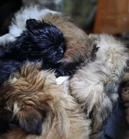 processed/b4c32ecc-42ec-4785-a51c-8fc595477cdc/listing/5e5728d0-2d51-430f-aa55-0ddda830d571/75467db8-b07f-4841-8050-db5c4e9bce02