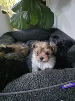 processed/b4c32ecc-42ec-4785-a51c-8fc595477cdc/listing/5e5728d0-2d51-430f-aa55-0ddda830d571/b501d055-e4e1-40a0-b68a-d8a8014a2aa3