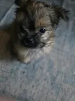 processed/b4c32ecc-42ec-4785-a51c-8fc595477cdc/listing/b46558c6-7563-4dd7-b776-d9b9c81a6437/7601df56-3e7b-4b47-a58d-67d2b4ce70b8