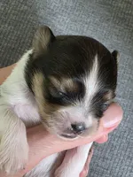 processed/b4c32ecc-42ec-4785-a51c-8fc595477cdc/listing/de3dde6b-2aa4-4a38-b4ae-7ef30b91e83d/38bc8c04-db8e-45a4-ad6b-59230793920b