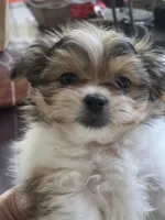 processed/b4c32ecc-42ec-4785-a51c-8fc595477cdc/listing/de3dde6b-2aa4-4a38-b4ae-7ef30b91e83d/9e5f1290-e7fe-4e26-b5a0-bc6b548e1d84