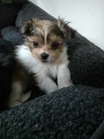 processed/b4c32ecc-42ec-4785-a51c-8fc595477cdc/listing/de3dde6b-2aa4-4a38-b4ae-7ef30b91e83d/dde4b886-6f92-464c-95c5-3d5a07163655