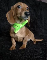 processed/b4c35af2-57b6-4ac4-8e03-34fee096a4d4/listing/2625d156-21e2-4e9d-bac1-e45de911c630/19cd6491-162b-4e31-bacb-aa661d8b6fef