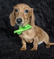 processed/b4c35af2-57b6-4ac4-8e03-34fee096a4d4/listing/2625d156-21e2-4e9d-bac1-e45de911c630/4b82f537-17f9-4e6c-b2db-5740989b9df9