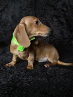 processed/b4c35af2-57b6-4ac4-8e03-34fee096a4d4/listing/2625d156-21e2-4e9d-bac1-e45de911c630/b6652edd-4af8-4ef6-93a1-eafb7379528f