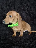 processed/b4c35af2-57b6-4ac4-8e03-34fee096a4d4/listing/2625d156-21e2-4e9d-bac1-e45de911c630/c7b854c1-740c-4a1e-b62c-1ad8b018e709