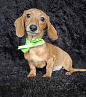 processed/b4c35af2-57b6-4ac4-8e03-34fee096a4d4/listing/2625d156-21e2-4e9d-bac1-e45de911c630/ef441bde-ba7e-489d-af27-bbbe68460c29