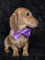 processed/b4c35af2-57b6-4ac4-8e03-34fee096a4d4/listing/c60c6d79-6118-49e1-899b-a8300843bf59/35ee7898-c5d5-44a2-8215-1f68e8e73824