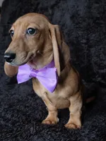 processed/b4c35af2-57b6-4ac4-8e03-34fee096a4d4/listing/c60c6d79-6118-49e1-899b-a8300843bf59/36a984f6-5778-4f76-8763-99db6ec8bf35