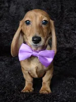 processed/b4c35af2-57b6-4ac4-8e03-34fee096a4d4/listing/c60c6d79-6118-49e1-899b-a8300843bf59/768e0a40-399c-49b1-b82d-cd3cee545c60