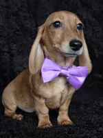 processed/b4c35af2-57b6-4ac4-8e03-34fee096a4d4/listing/c60c6d79-6118-49e1-899b-a8300843bf59/c8cdfa0c-ae9f-47ed-9ec2-6066765daa76