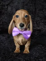 processed/b4c35af2-57b6-4ac4-8e03-34fee096a4d4/listing/c60c6d79-6118-49e1-899b-a8300843bf59/d9b08a26-ac3a-4968-b3c3-8dfd726210b7