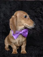 processed/b4c35af2-57b6-4ac4-8e03-34fee096a4d4/listing/c60c6d79-6118-49e1-899b-a8300843bf59/da5dd5c8-ba6c-48ca-95b5-922c57ef3c01