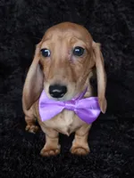 processed/b4c35af2-57b6-4ac4-8e03-34fee096a4d4/listing/c60c6d79-6118-49e1-899b-a8300843bf59/de512c2a-b2ae-4e08-97a6-b5b4b8e44459