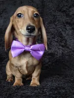 processed/b4c35af2-57b6-4ac4-8e03-34fee096a4d4/listing/c60c6d79-6118-49e1-899b-a8300843bf59/deac7890-b396-4d0b-97e3-d539f745ee38