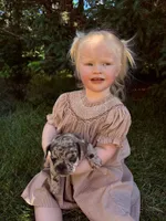 Coral, a female French Bulldog for sale in Howard Lake, MN – 8 of 9