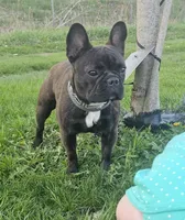 processed/b4d539e5-d4bc-4f86-92a4-bad59894674a/facility/1f0022e5-5cfe-4fc2-acd6-84dcedae545b