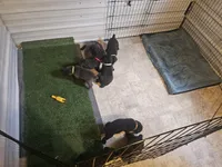 processed/b4d539e5-d4bc-4f86-92a4-bad59894674a/facility/25398d70-9ba2-4ea6-bf5e-4e67327c6983