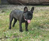 processed/b4d539e5-d4bc-4f86-92a4-bad59894674a/facility/9c3b161d-8143-415d-b328-337e1d86c18d