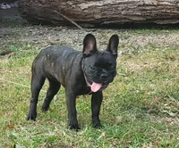 processed/b4d539e5-d4bc-4f86-92a4-bad59894674a/facility/d1ec7e32-6533-4594-a591-1d5f3da4c273