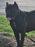 processed/b4d539e5-d4bc-4f86-92a4-bad59894674a/facility/f1e69604-c5aa-484f-82d7-10eee0560a25