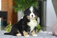 processed/b4df20f0-fb6e-40e5-ae71-1cab7d9a6bee/listing/a7821ed9-10db-4548-99f0-a3b0b8da8fe0/10f52db0-e7dc-4dde-9d86-32ce64fd41b3