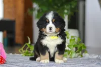 processed/b4df20f0-fb6e-40e5-ae71-1cab7d9a6bee/listing/a7821ed9-10db-4548-99f0-a3b0b8da8fe0/88d986a8-aa50-491a-959b-b81848b2306e