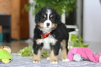 processed/b4df20f0-fb6e-40e5-ae71-1cab7d9a6bee/listing/c0adf8d8-63db-4f60-b165-73d5c8754797/c897555a-9155-400e-94ab-2bbb14d750bf