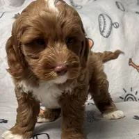 processed/b4ee585b-0df8-4813-a1a9-cee6c0050e0d/facility/3194e660-72c8-4208-8208-62d51b7fcfa9