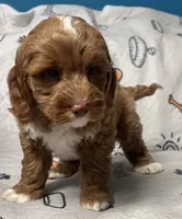 processed/b4ee585b-0df8-4813-a1a9-cee6c0050e0d/facility/3194e660-72c8-4208-8208-62d51b7fcfa9