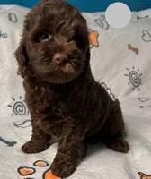 processed/b4ee585b-0df8-4813-a1a9-cee6c0050e0d/facility/68797d2c-a11e-4b6b-a021-86448444cacc