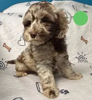 processed/b4ee585b-0df8-4813-a1a9-cee6c0050e0d/facility/6c437507-a316-4301-b2ec-6e22b3bd648a