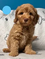 processed/b4ee585b-0df8-4813-a1a9-cee6c0050e0d/facility/90bbb416-7dc0-41d8-bc69-25ca7b2bf477