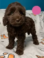 processed/b4ee585b-0df8-4813-a1a9-cee6c0050e0d/facility/bdcf47ab-7da4-4a8b-8adf-3bd5f612ecdd