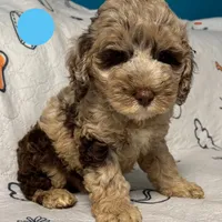 processed/b4ee585b-0df8-4813-a1a9-cee6c0050e0d/facility/e9d4e438-c954-4f90-aeca-1db59bc0baad