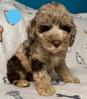 processed/b4ee585b-0df8-4813-a1a9-cee6c0050e0d/facility/e9d4e438-c954-4f90-aeca-1db59bc0baad