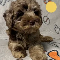 processed/b4ee585b-0df8-4813-a1a9-cee6c0050e0d/facility/f3ce2bc7-3636-49d3-bf68-6295ed98db2b