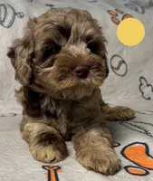 processed/b4ee585b-0df8-4813-a1a9-cee6c0050e0d/facility/f3ce2bc7-3636-49d3-bf68-6295ed98db2b