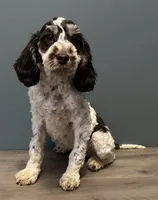 processed/b4ee585b-0df8-4813-a1a9-cee6c0050e0d/listing/06b9bac9-8f45-447c-9e08-bd528835a79d/18a7ae6e-7655-4980-8d47-790a73930318